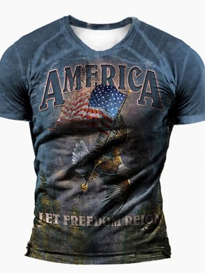 Men's Unisex T shirt 3D Print Graphic Prints Eagle National Flag Crew Neck Street Daily Print Short Sleeve Tops Basic Casual Fashion Retro Blue #9018927